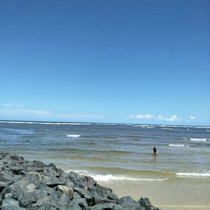 Meet your Posher, Janice